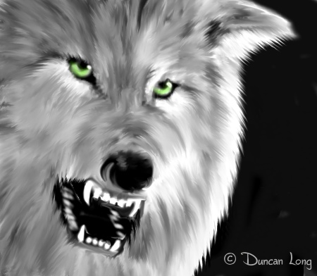 Werewolves of New Idria graphic novel illustration by graphic artist and illustrator Duncan Long.