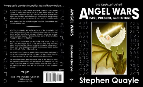 Cover artwork for the book Angel Wars