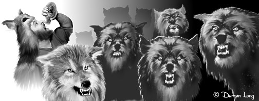 A collection of werewolves. This illustration was later "broken apart" so some of the wolves appeared elsewhere in the graphic novel.