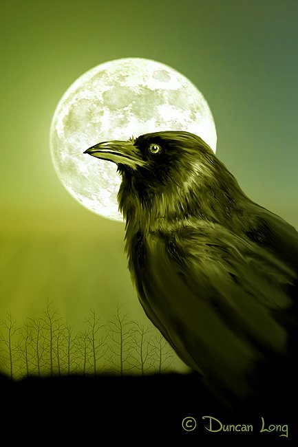 The Raven - a book illustration by artist Duncan Long
