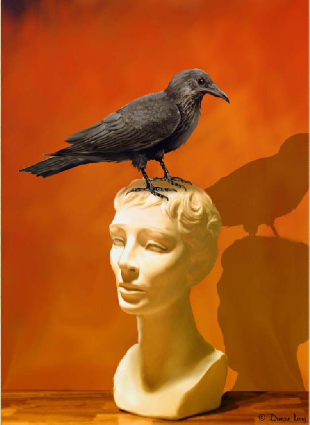 The Raven On Bust Halloween horror artwork by artist and illustrator Duncan Long