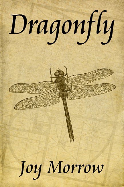 Dragonfly book cover illustration