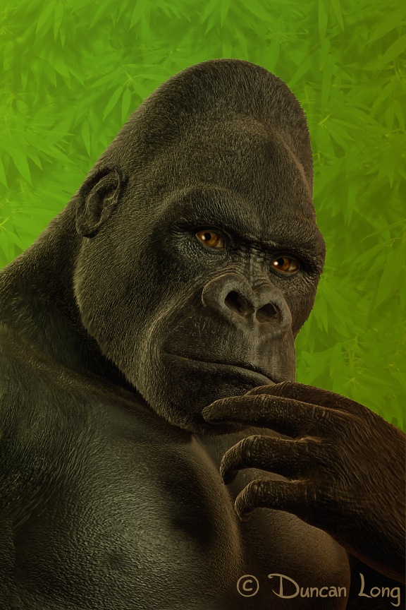The Thinker - gorilla book art for a magazine or book
