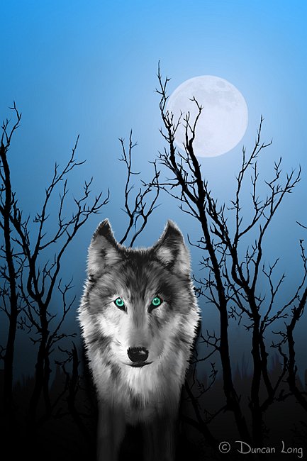 Wolf Night - book cover artwork by freelance coverjillustrator and outsider artist Duncan Long.