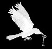 wp8f1b1423_0f.jpg